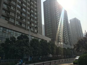 鄭州未來國際項目綜合分析 優(yōu)勢、不足及周邊房產(chǎn)中介評價